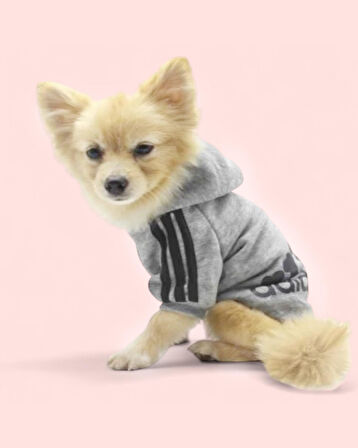 Gri Adidog Kapşonlu Sweatshirt Köpek Kazağı