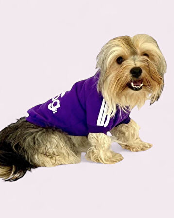 Mor Adidog Kapşonlu Sweatshirt Köpek Kazağı