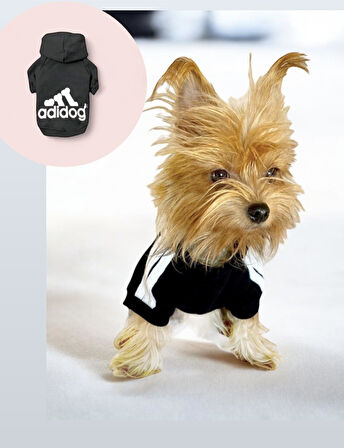 Black Adidog Kapşonlu Sweatshirt Köpek Kazağı