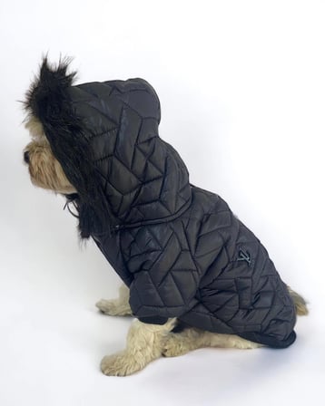 Luxy Black Köpek Montu, Köpek Ceketi, Köpek Dış Giyim
