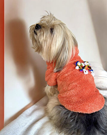 Turuncu İkizler Kapşonlu Sweat by Kemique Köpek Kazağı 