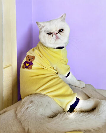 Sunny Teddy Tulum Yastık Takım Uyku Set Kedi Tulum Elbise
