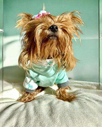 Minty Palm Kalın Penye Köpek Tulum Pijama