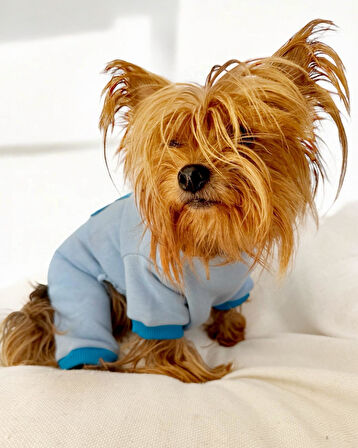 Blue Bunny Kalın Penye Köpek Tulum Pijama