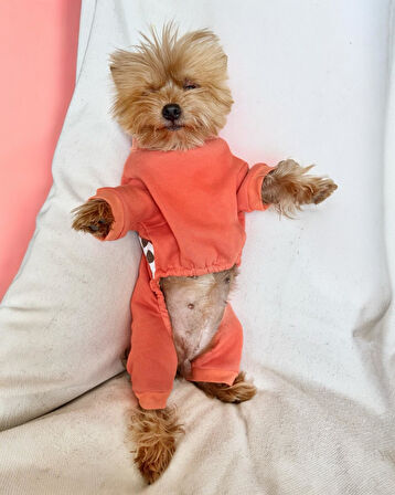 Puanti Kalın Penye Köpek Tulum Pijama