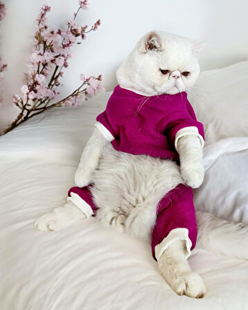 Foxie Polar Kedi Tulum Pijama