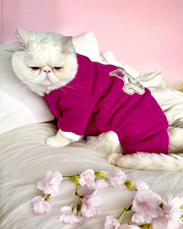 Foxie Polar Kedi Tulum Pijama