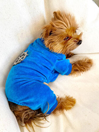 Blue Seas Köpek Tulum Pijama