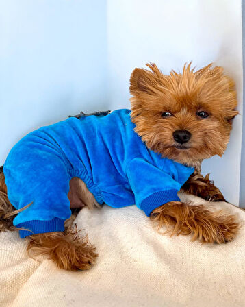 Blue Seas Köpek Tulum Pijama