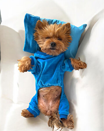 Blue Seas Penye Tulum Yastık Takım Uyku Set Köpek Tulum Elbise