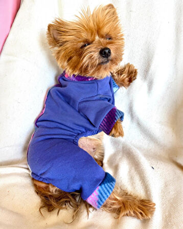 Monogram Purp Köpek Tulum Pijama
