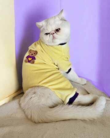 Sunny Teddy Kedi Tulum Pijama