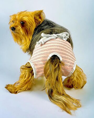 Pink Shine Kemique's Secret Köpek İç Çamaşırı Regl Külot Don