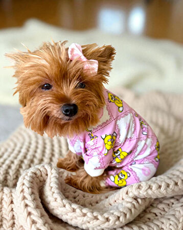 Teddy Toad Penye Köpek Tulum Pijama