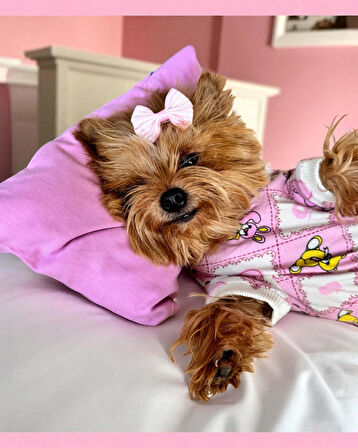 Toad Teddy Penye Tulum Yastık Takım Uyku Set Köpek Tulum Elbise