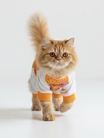 Never Give Up Penye Kedi Tulum Pijama