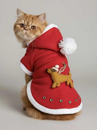 Buddy Kapşonlu Yılbaşı Kedi Sweatshirt Noel