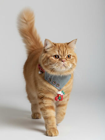Kedi Bandanası Yılbaşı Temalı | Christmas Cat Bandana | Çorap Süs Detaylı Kedi Fuları