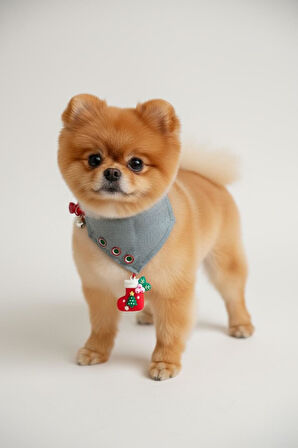 Christmas Dog Bandana | Küçük Irk Köpek Fuları | Yılbaşı Temalı Çorap Aksesuar Detaylı Bandana | Max 6 kg
