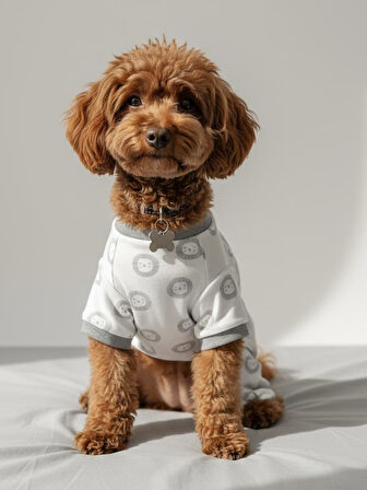 Soft Lion Köpek Tulumu | Pamuklu Penye Köpek Pijaması | Küçük Irklar İçin | Tüy Dökülmesini Azaltır