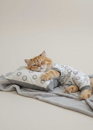 Soft Lion Kedi Uyku Seti | Penye Kedi Tulum ve Mini Yastık Takımı | Pamuklu | Tüy Dökülmesini Azaltır | 