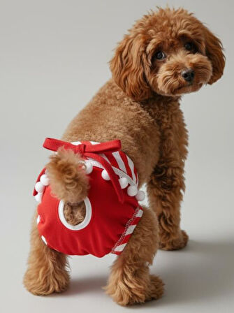 Red Frilly Dişi Köpek Regl Külotu | Köpek Donu | Köpek İç Çamaşırı | Ayarlanabilir Bağcıklı | Küçük Irklar İçin