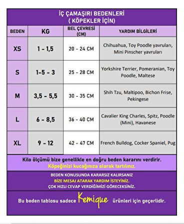 Red Frilly Dişi Köpek Regl Külotu | Köpek Donu | Köpek İç Çamaşırı | Ayarlanabilir Bağcıklı | Küçük Irklar İçin