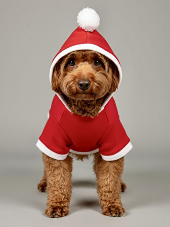  Noel Cücesi Gnome Yılbaşı Köpek Kıyafeti Noel Cücesi Gnome Kırmızı Polar | Kapüşonlu Noel Köpek Sweatshirt | Küçük Irklar İçin