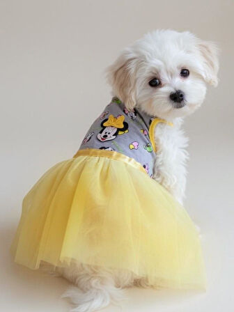 Sevimli Fare Sunny Tütü Köpek Kıyafeti | Sarı Tütülü Elbise | Küçük Irk Köpekler İçin