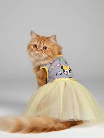 Sevimli Fare Sunny Tütü Kedi Kıyafeti | Sarı Tütülü Elbise | Kediler İçin