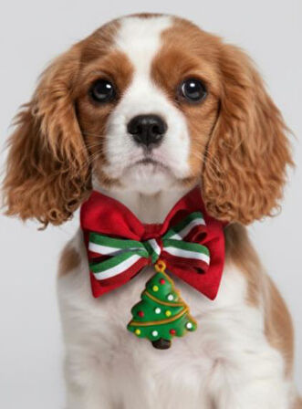 Yılbaşı Ağacı Küçük Irk Köpek Papyon Tasması | Kırmızı Fiyonk Boyun Aksesuarı | Noel Temalı Köpek Süsü