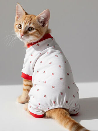 Berry Kedi Tulumu | Pamuklu Penye Kedi Kıyafeti | Küçük Irklar İçin | Tüy Dökülmesini Azaltır