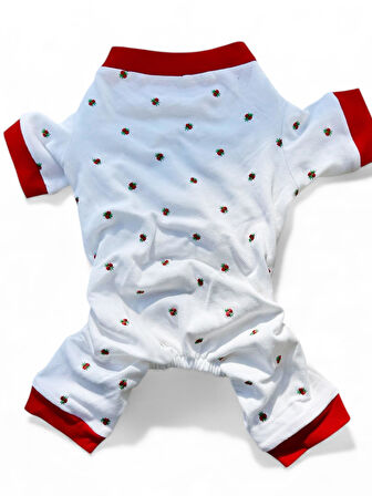 Berry Kedi Tulumu | Pamuklu Penye Kedi Kıyafeti | Küçük Irklar İçin | Tüy Dökülmesini Azaltır