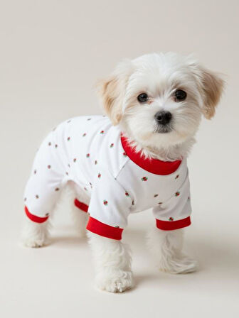 Berry Köpek Uyku Takımı | Pamuklu Penye Köpek Tulumu ve Mini Yastık | Küçük Irklar İçin | Tüy Dökülmesini Azaltır