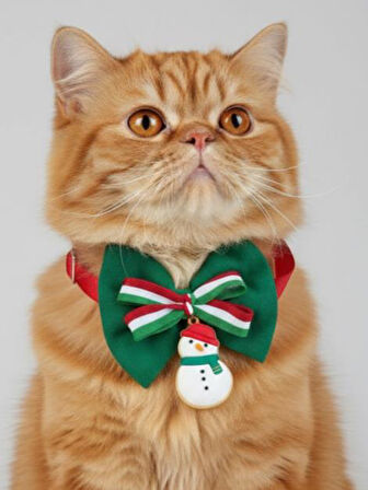 Kardan Adam Kedi Papyon Tasması | Yeşil Kırmızı Fiyonk Boyun Aksesuarı | Noel Temalı Kedi Süsü