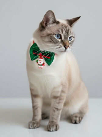 Noel Baba Kedi Papyon Tasması | Yeşil Kırmızı Fiyonk Boyun Aksesuarı | Noel Temalı Kedi Süsü