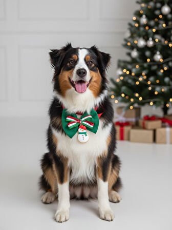 Kardan Adam Köpek Papyon Tasması |  Yeşil Kırmızı Fiyonk Boyun Aksesuarı | Noel Temalı Köpek Süsü | Orta ve Büyük Irklar İçin