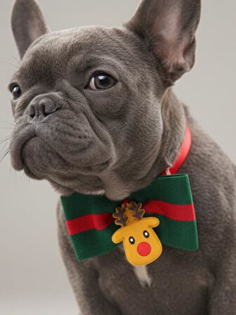 Royal Rudolph Premium Yılbaşı Köpek Papyonu | Limited Edition Luxe Aksesuar | Orta & Büyük Irklar İçin