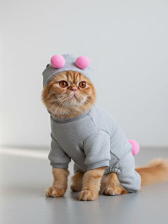 Ponpon Şeker Kedi Tulumu & Bere Takımı | Şardonlu Polar Kumaş | Tüy Dökülmesini Azaltır