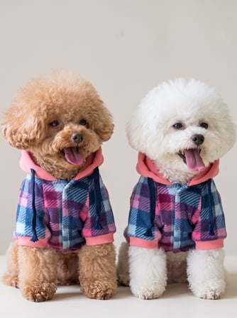 Marshmellow Kapşonlu Polar Köpek Ceketi – Sıcak Tutan Yumuşak Köpek Kıyafeti