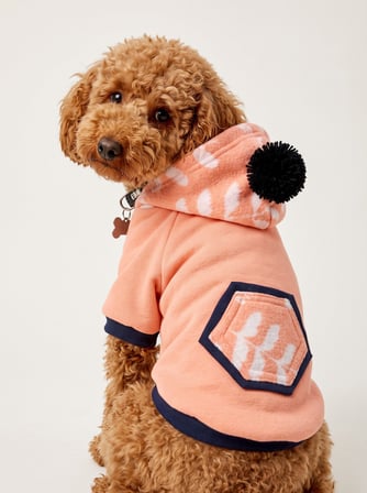 Peachy Pink Köpekler için Polar Sweatshirt
