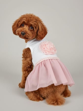Rosie Pink Tütü Köpek Kıyafeti | PembeTütülü Elbise | Küçük Irk Köpekler İçin