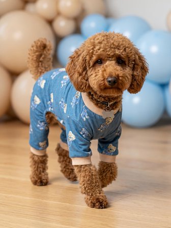 Teddy Blues Penye Köpek Tulumu | Ayıcık Desenli Köpek Pijaması | Küçük Irklar İçin
