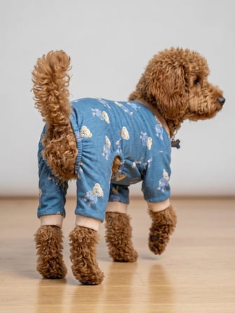 Teddy Blues Penye Köpek Tulumu | Ayıcık Desenli Köpek Pijaması | Küçük Irklar İçin