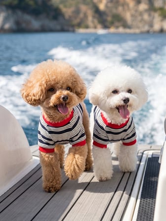 Yacht Club Marin Çizgili Köpek Tişörtü | Lacivert Kırmızı Yazlık Köpek Kıyafeti | Küçük Irklar