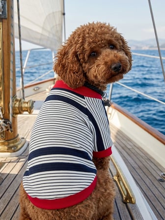 Yacht Club Marin Çizgili Köpek Tişörtü | Lacivert Kırmızı Yazlık Köpek Kıyafeti | Küçük Irklar