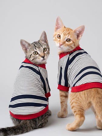 Yacht Club Marin Çizgili Kedi Tişörtü | Lacivert Kırmızı Yazlık Kedi Kıyafeti 