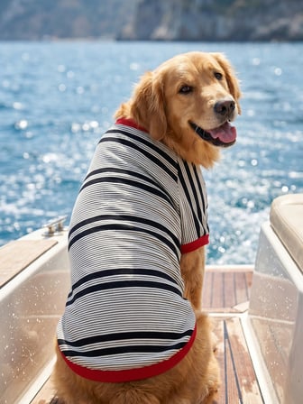 Yacht Club Marin Çizgili  Orta ve Büyük Irk Köpek Tişörtü | Lacivert Kırmızı Yazlık Köpek Kıyafeti