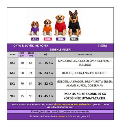 Yacht Club Marin Çizgili  Orta ve Büyük Irk Köpek Tişörtü | Lacivert Kırmızı Yazlık Köpek Kıyafeti
