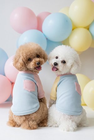 Bubbles Pastel Köpek Tişörtü | Cepli Şeker Renkli Yazlık Köpek Kıyafeti | Küçük Irklar İçin